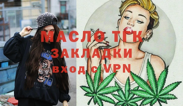 гашик Тайга