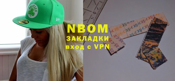 гашик Тайга