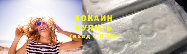 ешки Бородино