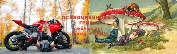 ешки Бородино