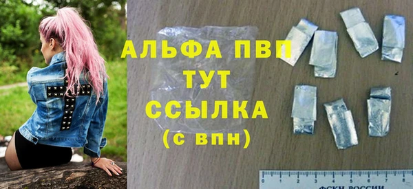 ешки Бородино